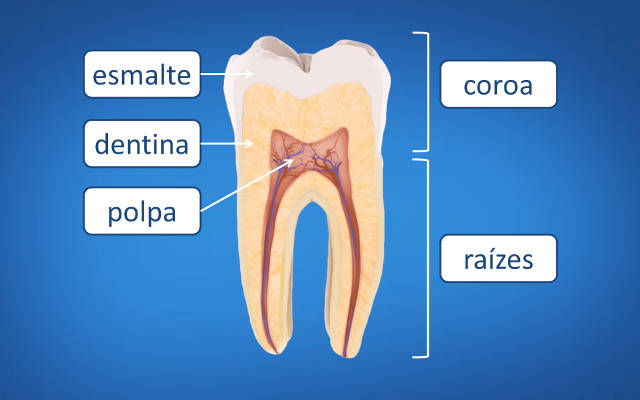 como é feito canal no dente